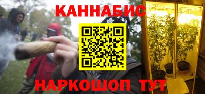 шишки Гусь-Хрустальный