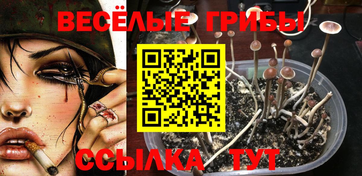 Галлюциногенные грибы мухоморы  Псилоцибиновые грибы мухоморы  Набережные Челны  Вход с VPN 