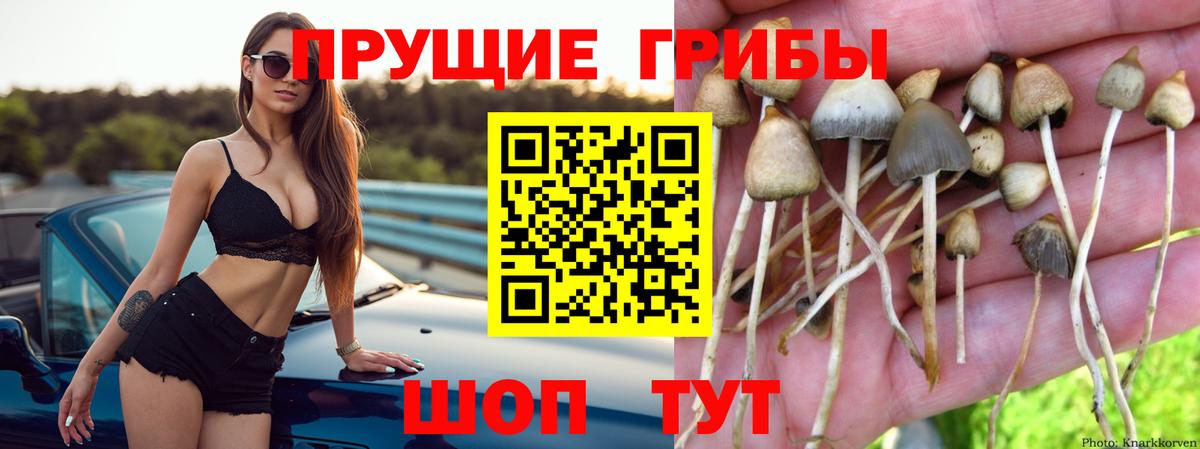 Галлюциногенные грибы ЛСД Набережные Челны